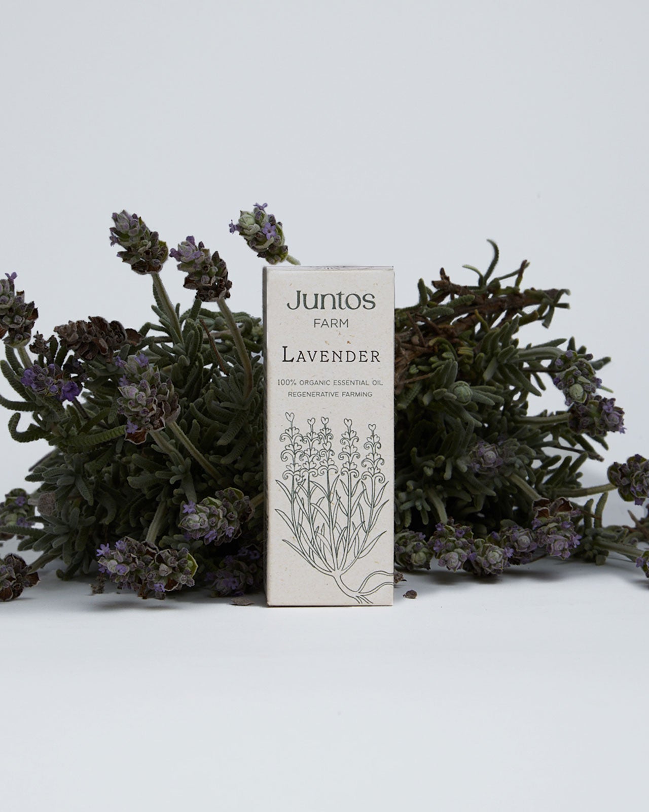 Lavender Essential Oil