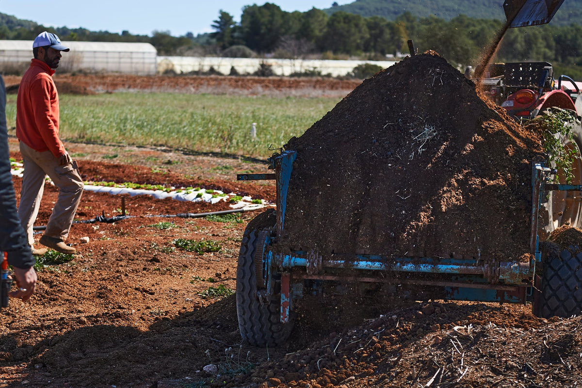 Actions for the Development of the Rural and Livestock Sector on the Island of Ibiza Biodegradable Agricultural Mulch Grant Line