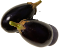 Aubergine